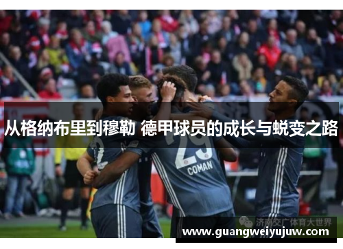 从格纳布里到穆勒 德甲球员的成长与蜕变之路