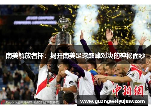 南美解放者杯：揭开南美足球巅峰对决的神秘面纱