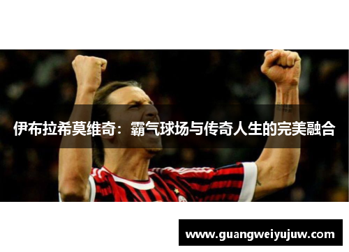 伊布拉希莫维奇：霸气球场与传奇人生的完美融合