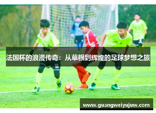 法国杯的浪漫传奇：从草根到辉煌的足球梦想之旅