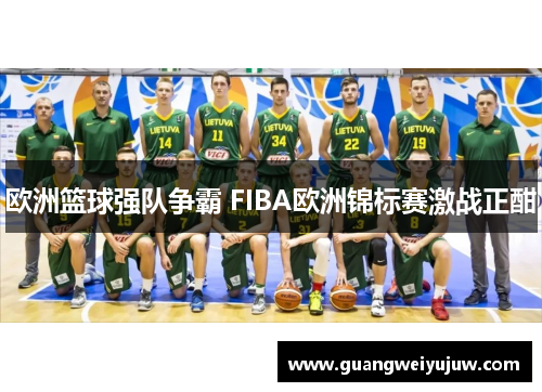 欧洲篮球强队争霸 FIBA欧洲锦标赛激战正酣