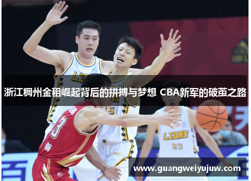 浙江稠州金租崛起背后的拼搏与梦想 CBA新军的破茧之路