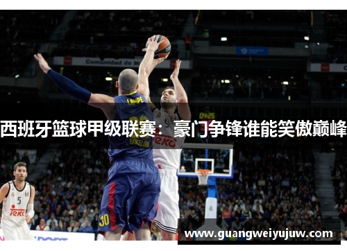 西班牙篮球甲级联赛：豪门争锋谁能笑傲巅峰