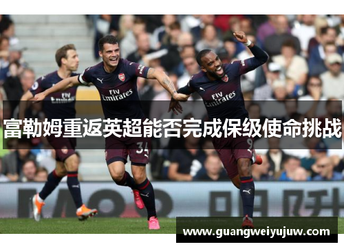 富勒姆重返英超能否完成保级使命挑战